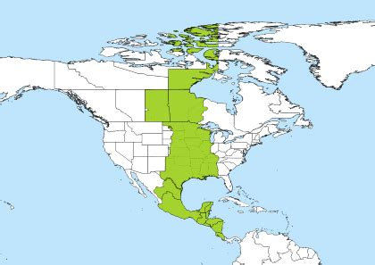 1:30 cst to pst|Dateful Time Zone Converter: CST to PST.